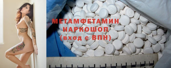 прущие грибы Балабаново