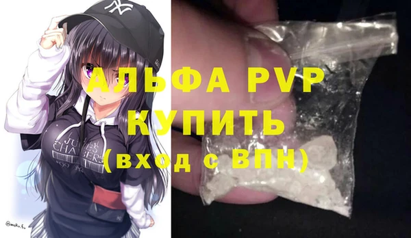 индика Аркадак