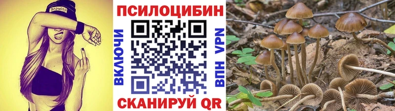 Галлюциногенные грибы прущие грибы mega ССЫЛКА Кедровый
