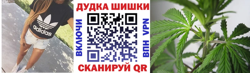 Шишки марихуана гибрид где купить наркоту Кедровый